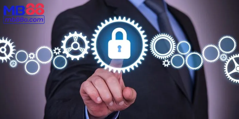 Cơ chế thu thập thông tin