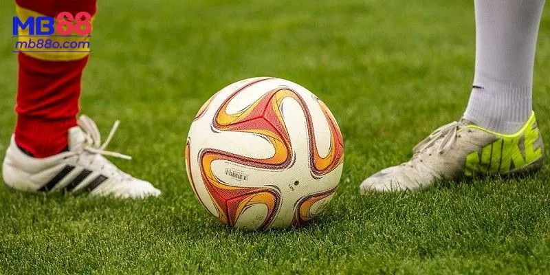 Các loại cược trong khi soi kèo bóng đá