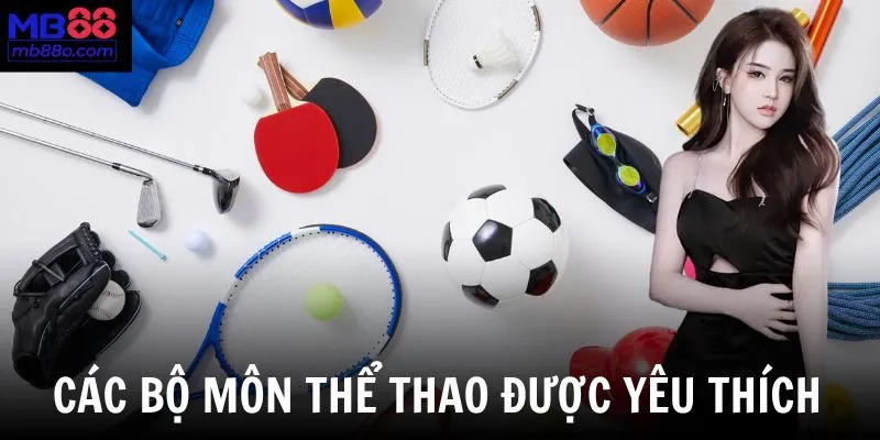 Danh sách các bộ môn thể thao có lượng cược cao nhất tại nền tảng
